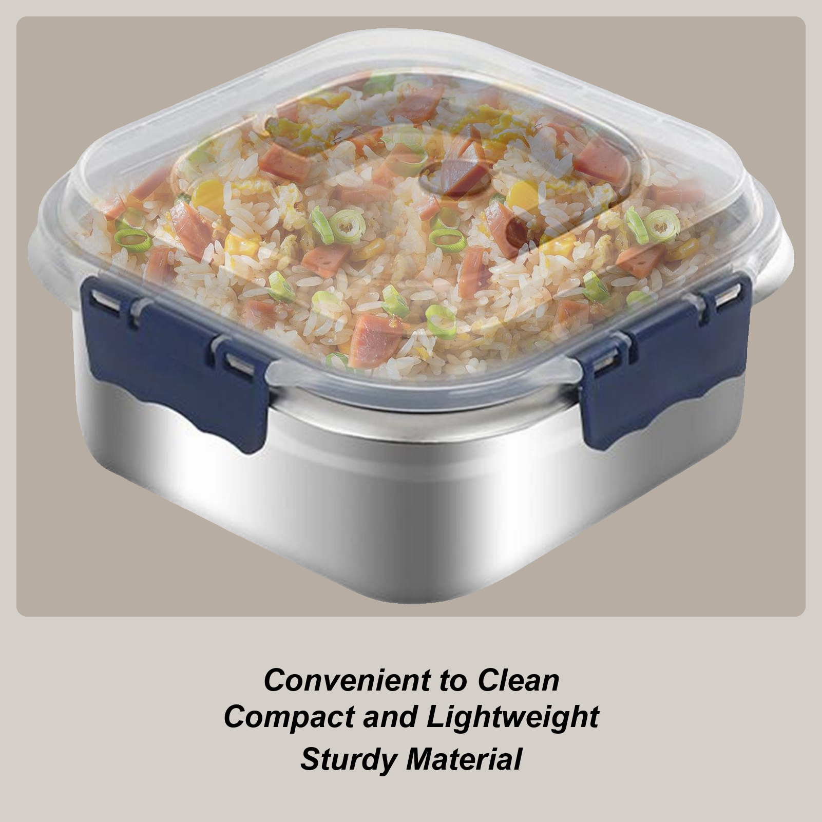 Food Storage Camping - Stainless Lunch Box Stainless Steel Fruit