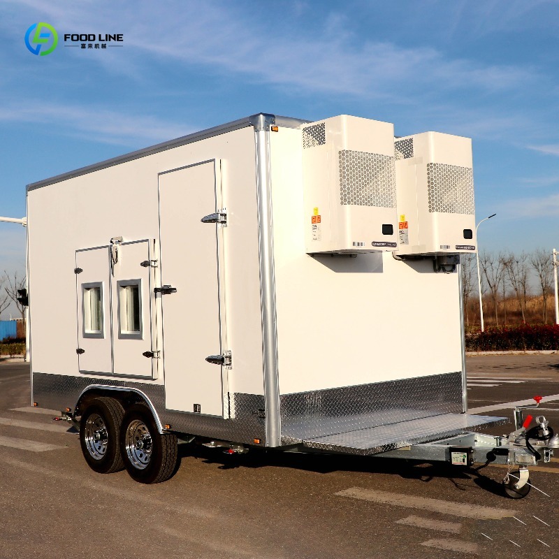 Customized Two-zone Mobile Fre - Food Storage Zone avis et prix