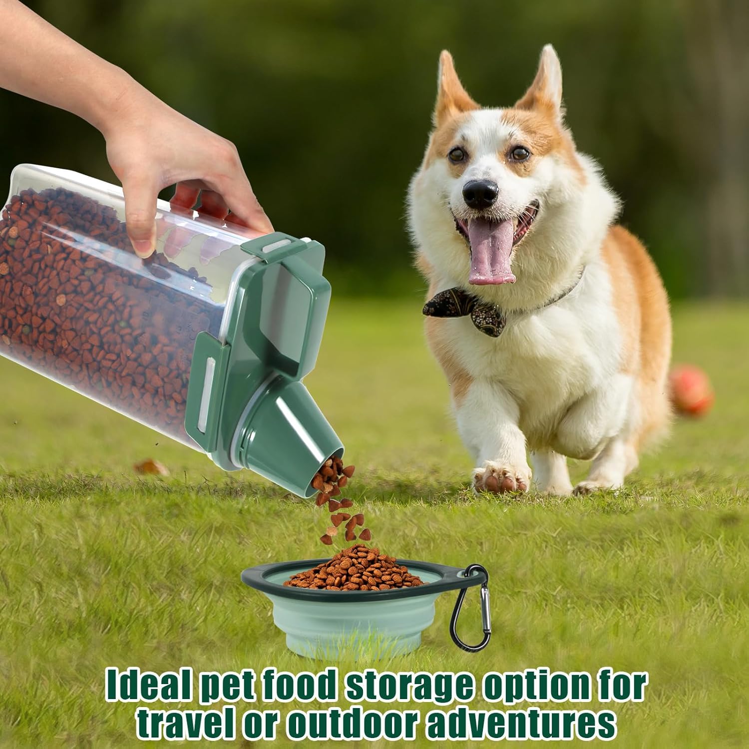 3Lbs Pet Food Storage Containe - Food Storage Dog avis et prix