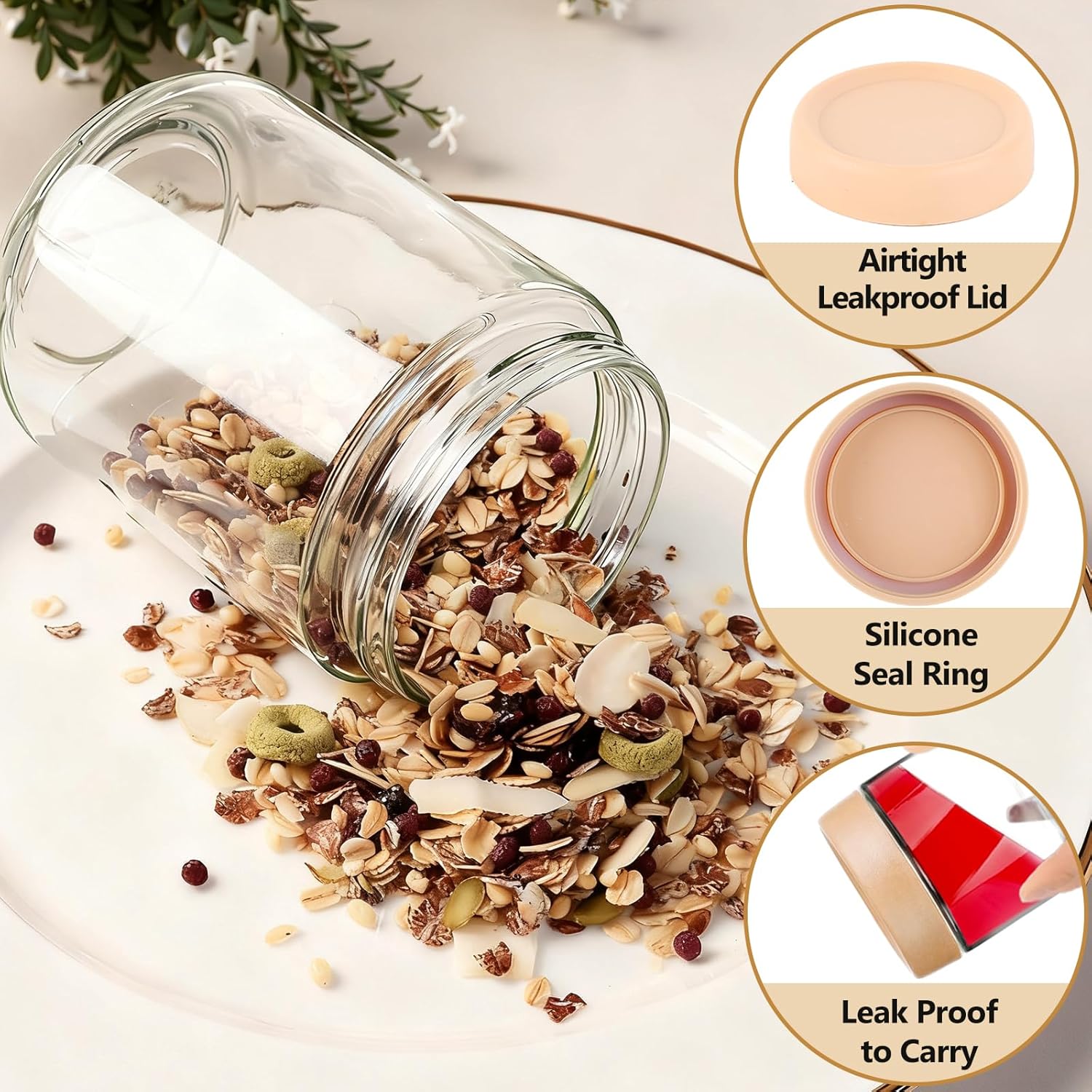12 Pack Overnight Oats Contain - Food Storage Jars Plastic avis et prix