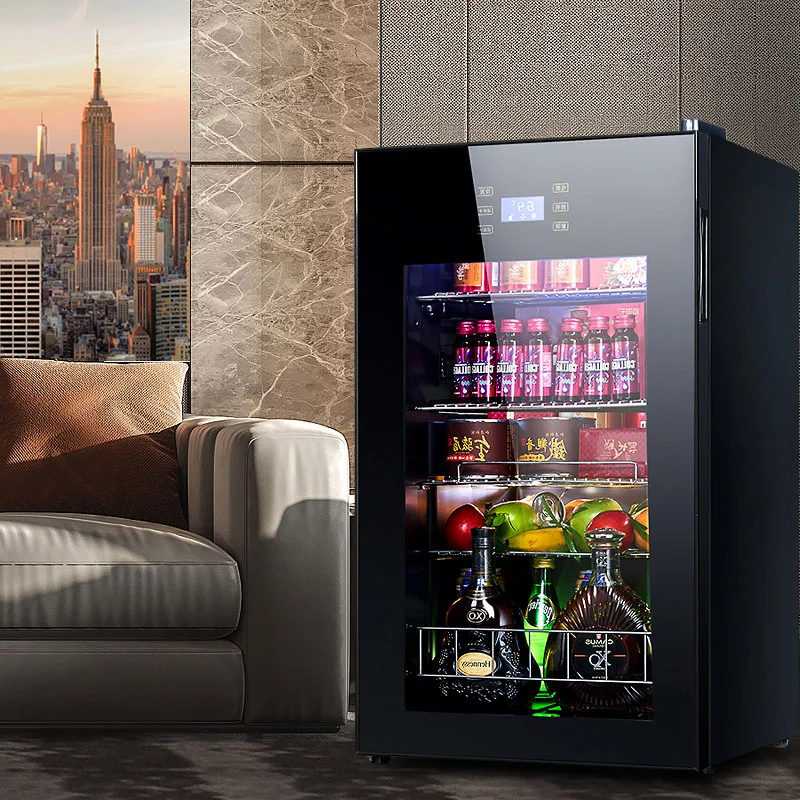 Cold Storage Refrigerator 95L  - Food Storage Zone avis et prix