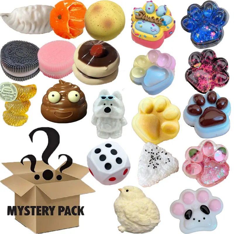 Mystery Fidget Toy Blind Box , - Food Storage Lock Box avis et prix