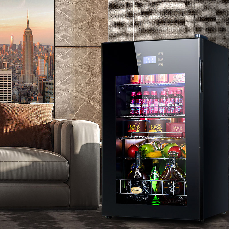 Cold Storage Refrigerator 95L  - Food Storage Zone avis et prix